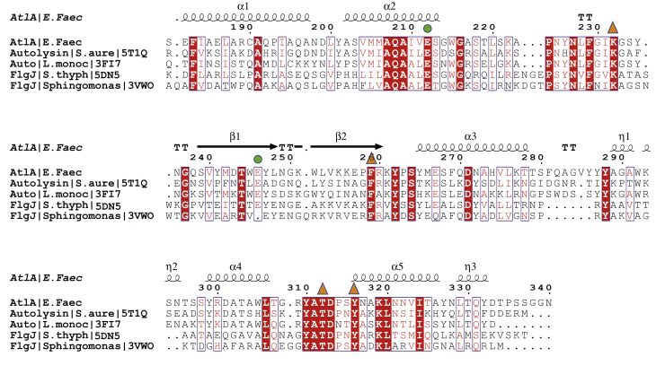 Figure 2