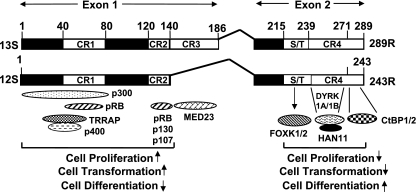 FIG. 7.