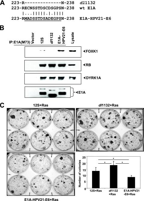 FIG. 6.