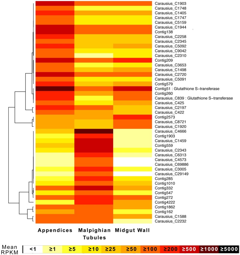 Fig 4