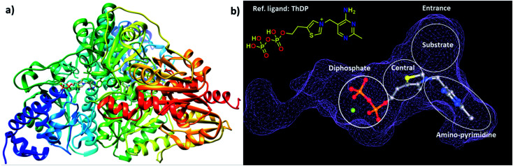 Fig. 1