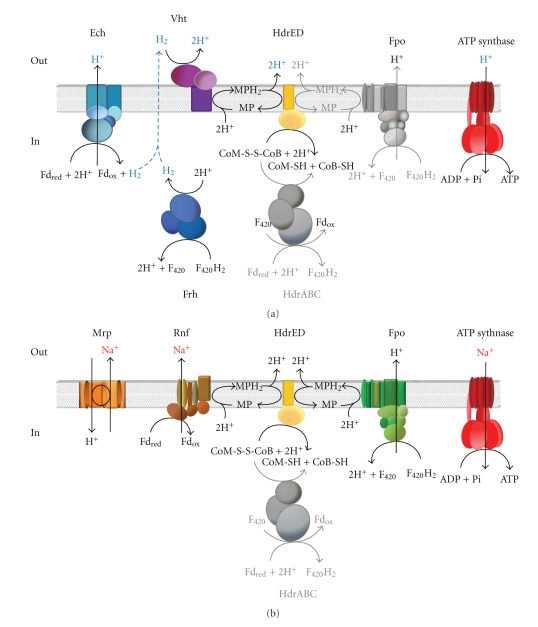 Figure 6