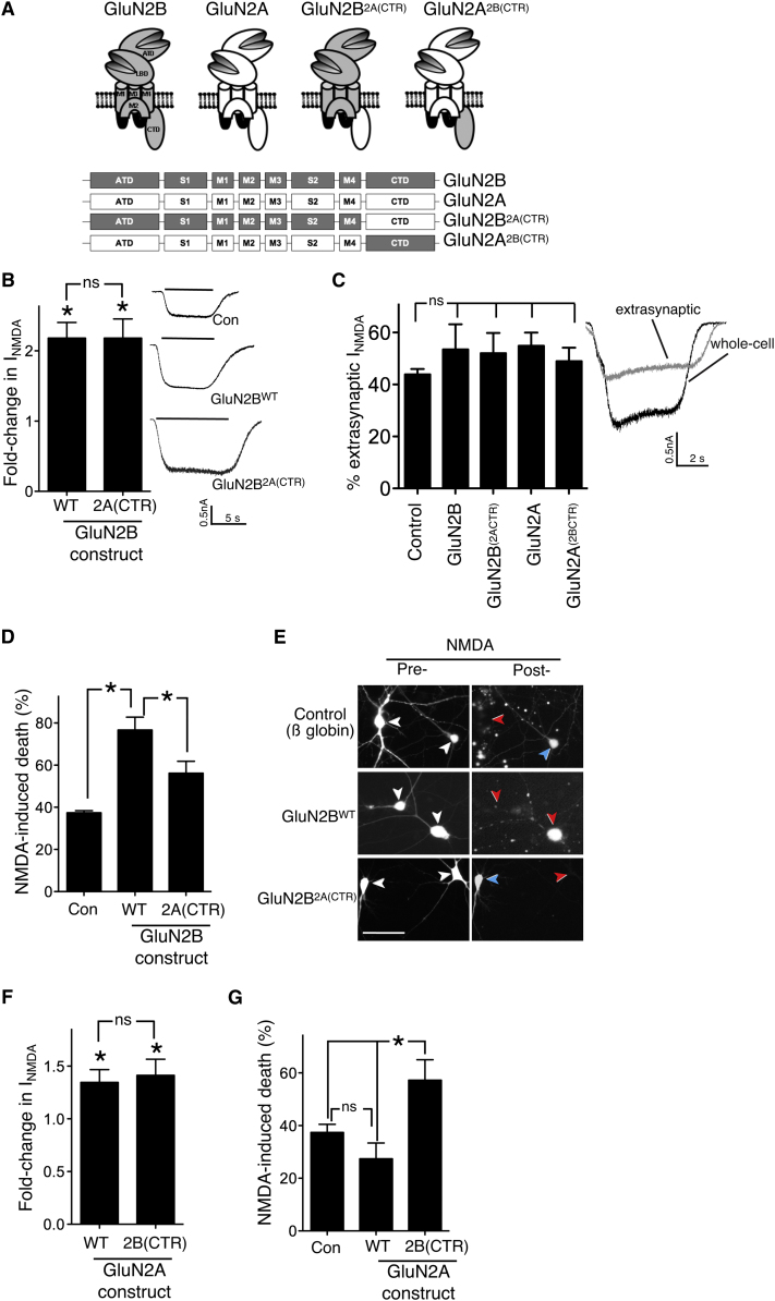 Figure 1