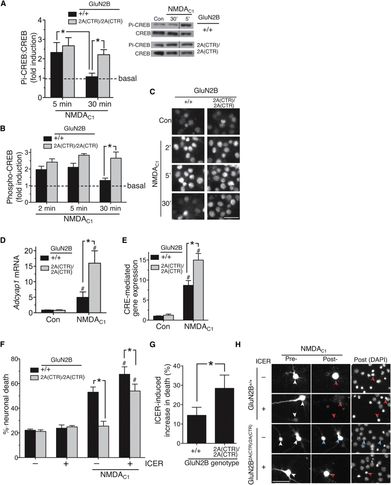 Figure 4