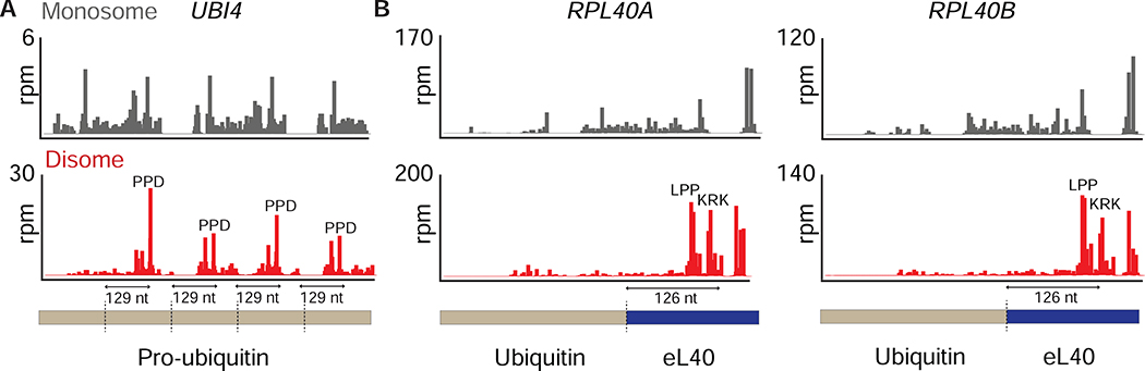 Figure 6: