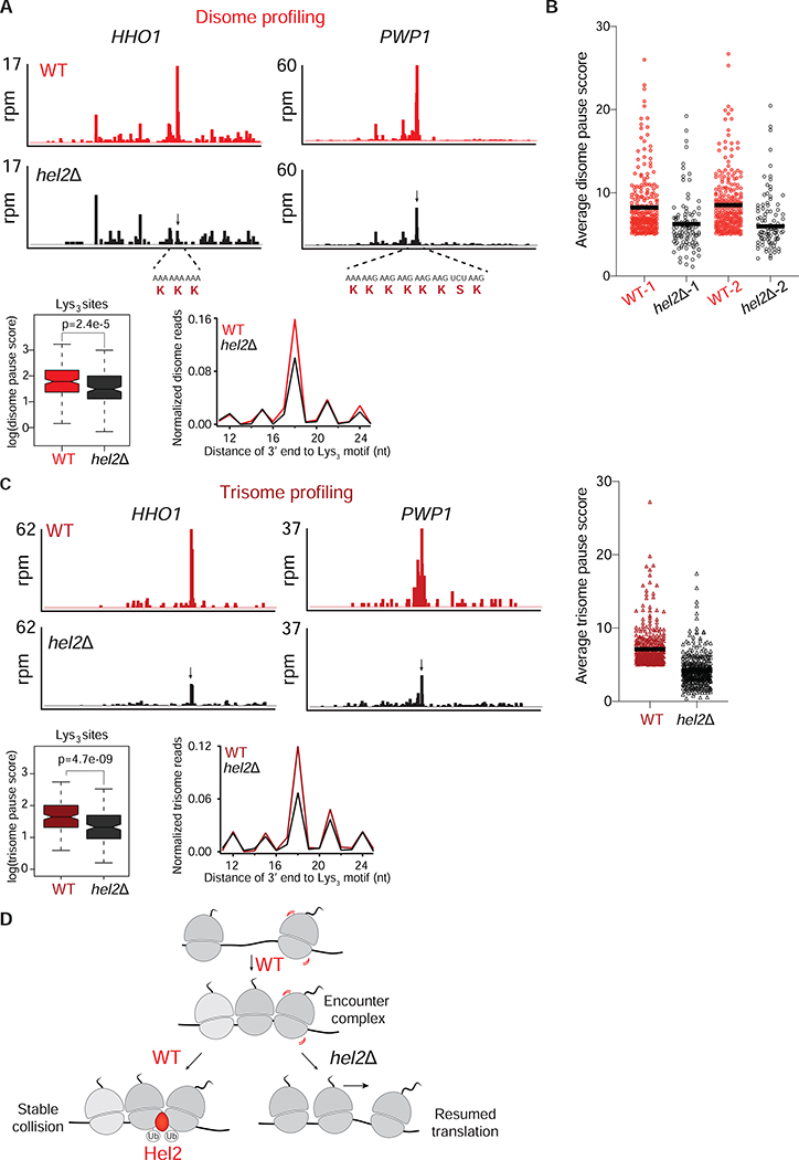 Figure 4: