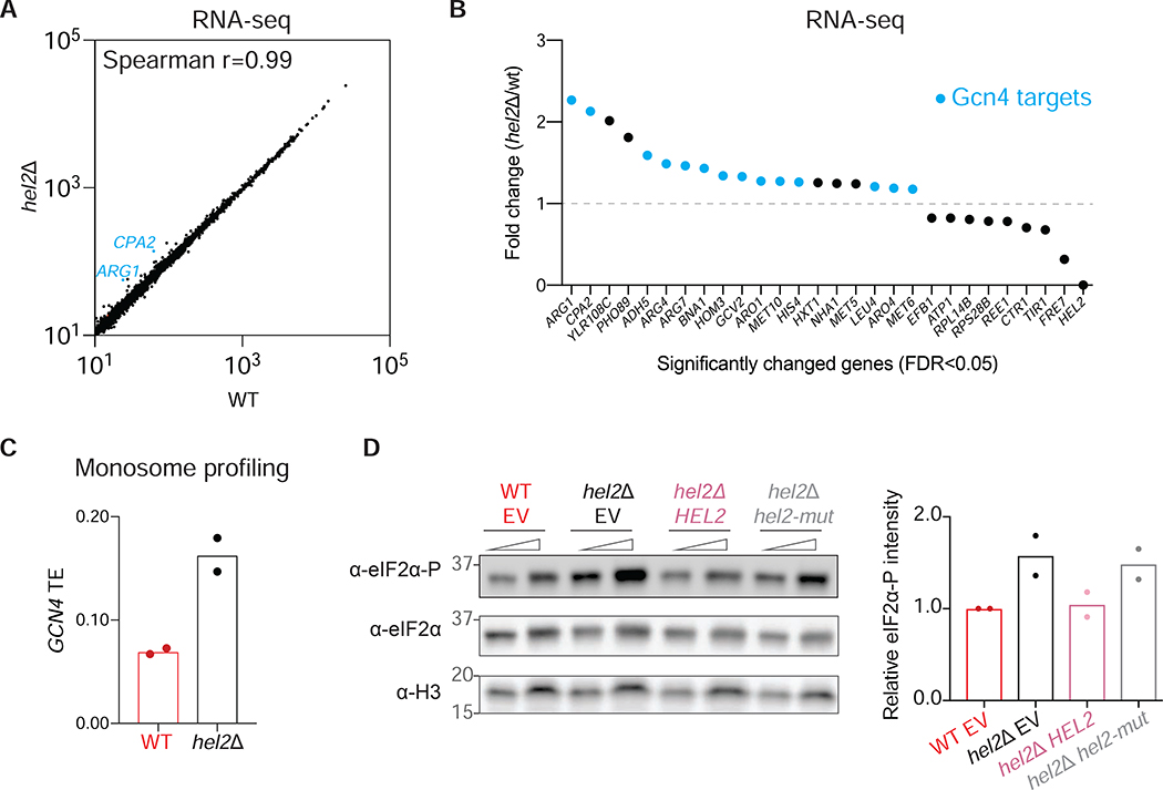 Figure 5: