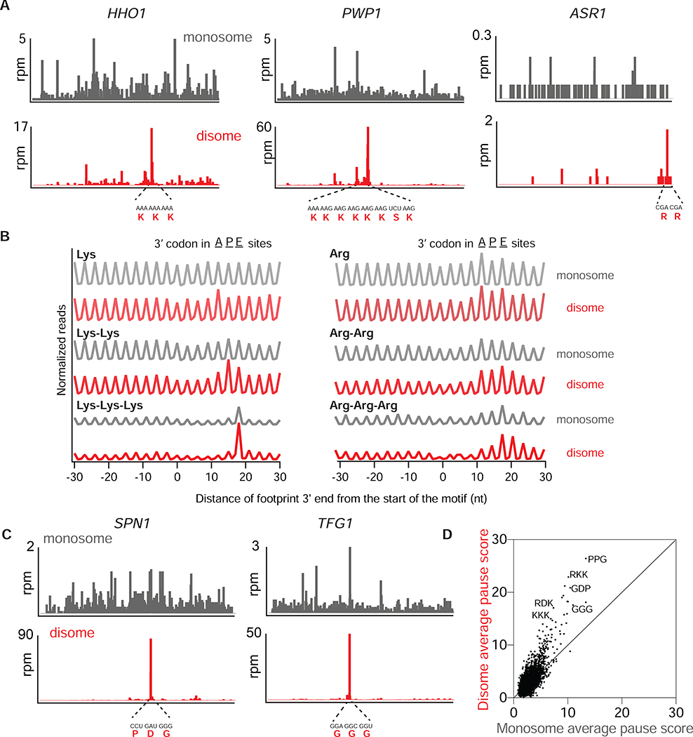 Figure 3: