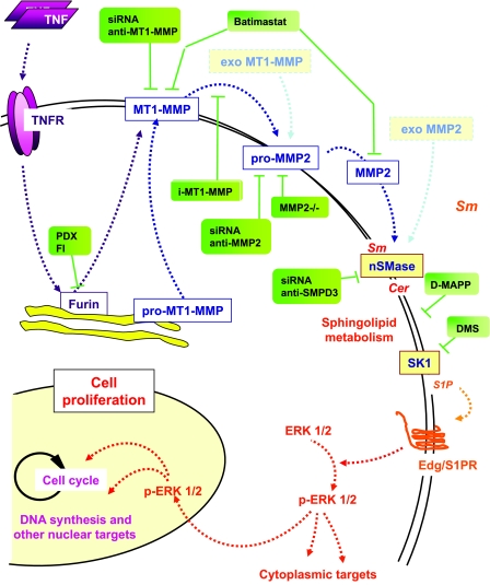 FIG. 8.