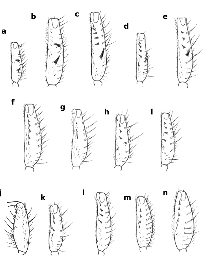 Figure 8