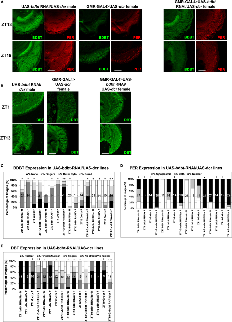 Figure 6