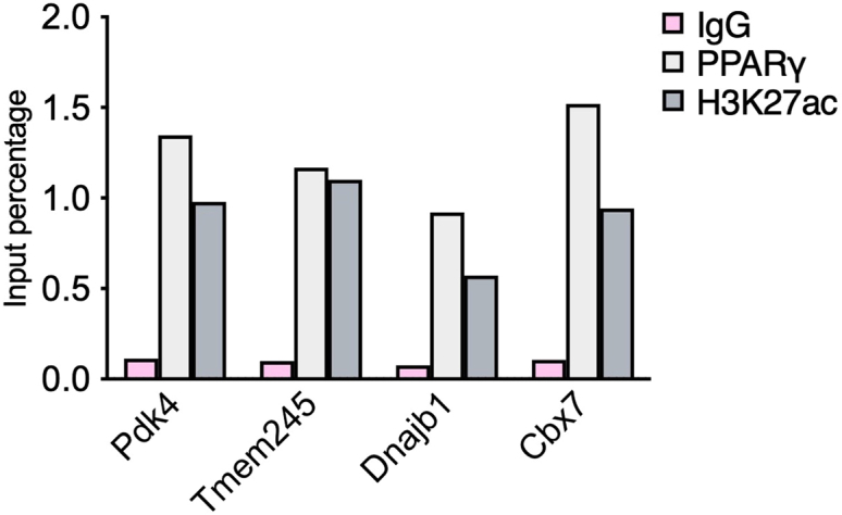 Figure 4