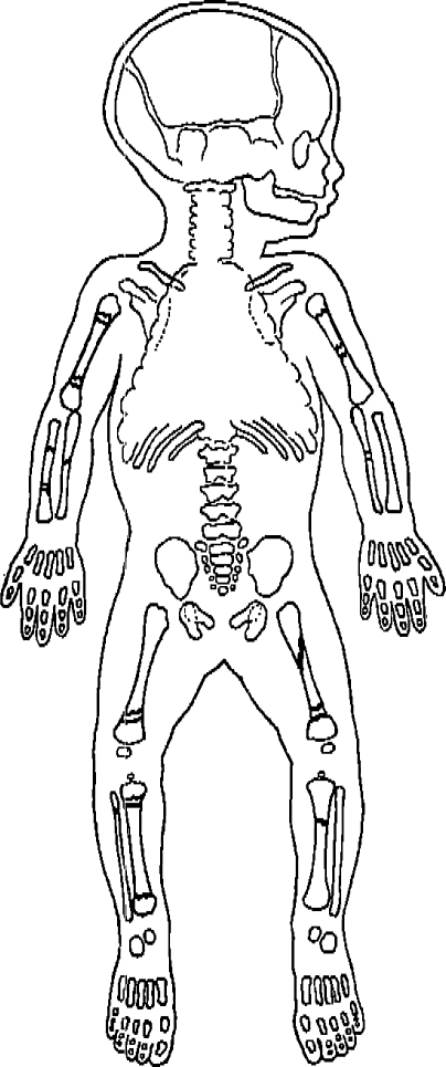 Fig. 7