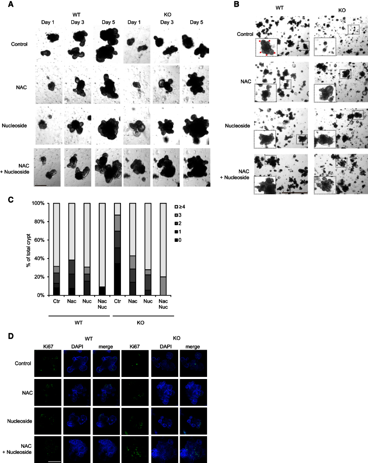 Figure 4