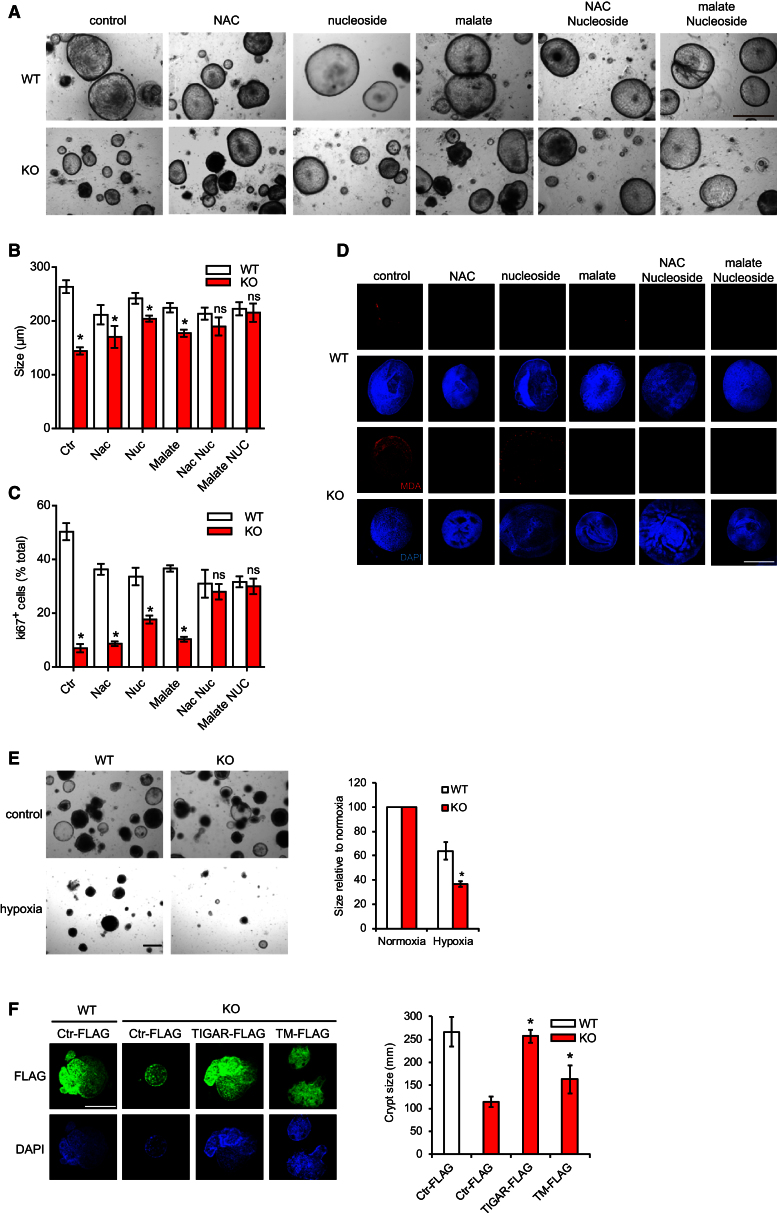 Figure 6