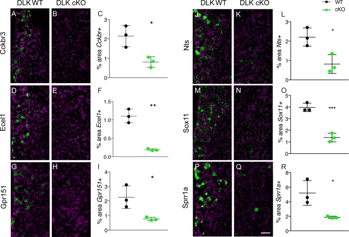 Figure 2—figure supplement 1.