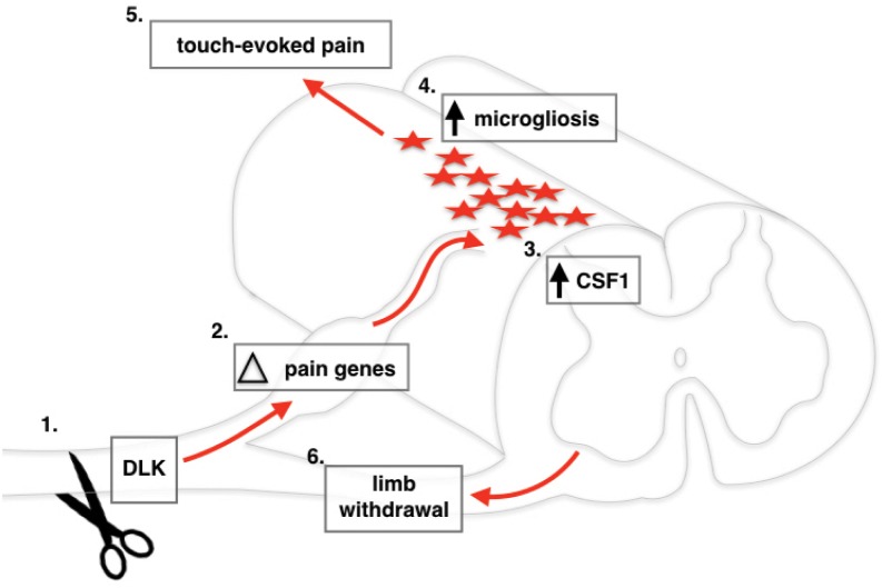 Figure 6.