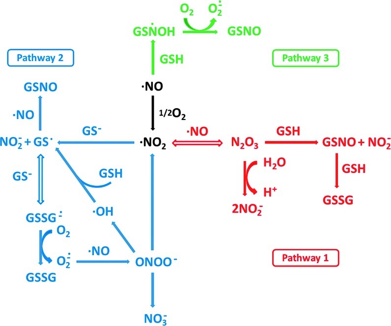 FIG. 3.