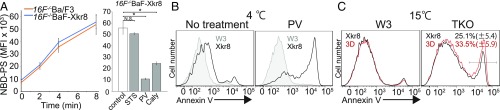 Fig. 5.