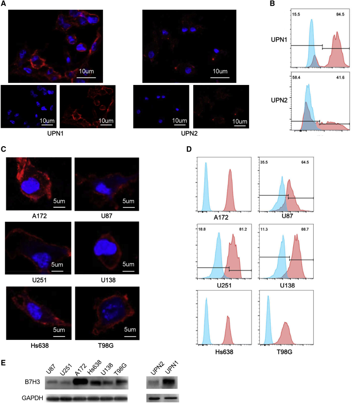 Figure 2