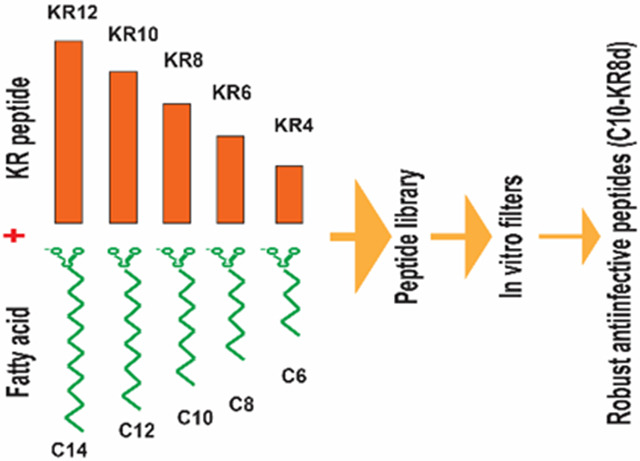 graphic file with name nihms-1801497-f0001.jpg