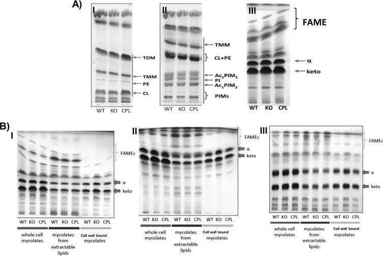 FIG 6