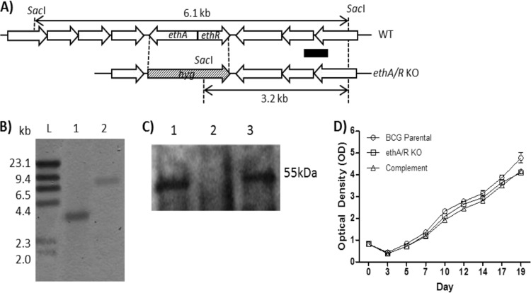 FIG 1