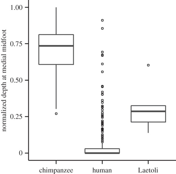 Figure 5.