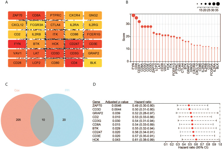 Figure 4