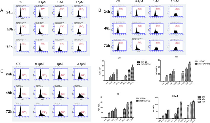 FIGURE 2