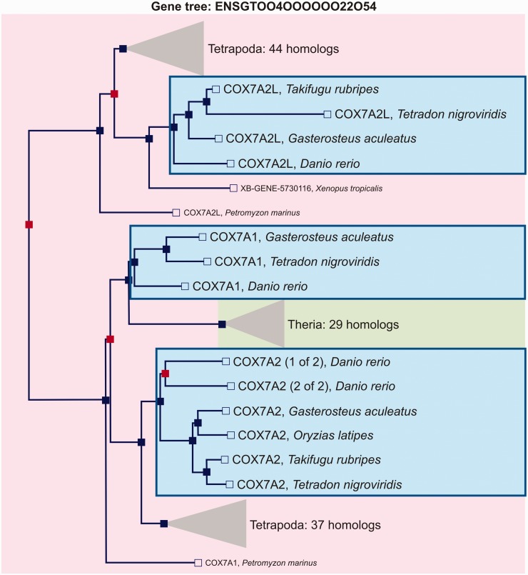 Fig. 2.—