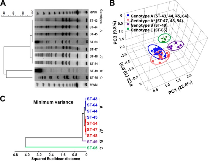 FIG 6