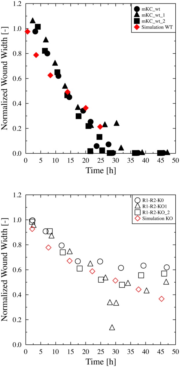 Fig 3