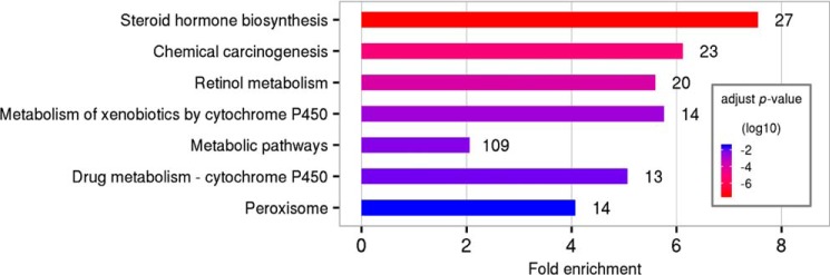 Figure 4.