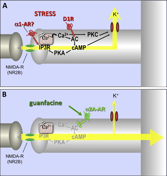 Fig. 3