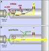 Fig. 3