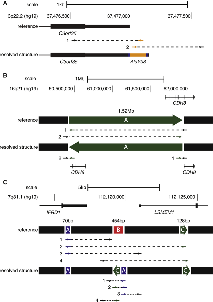 Figure 4