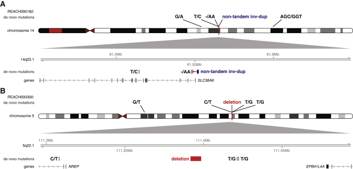 Figure 5