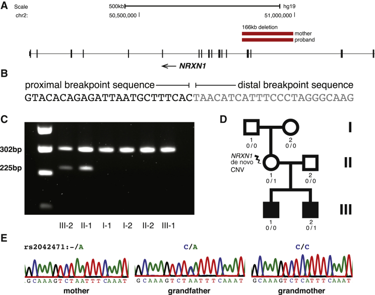 Figure 6