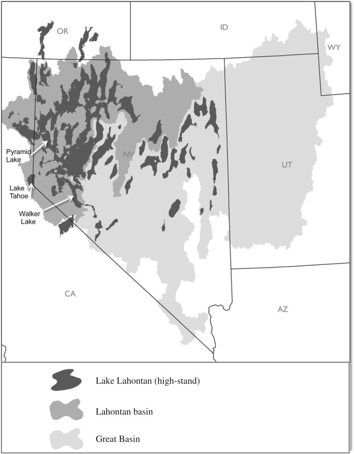 Figure 2.