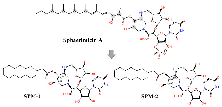 Figure 11