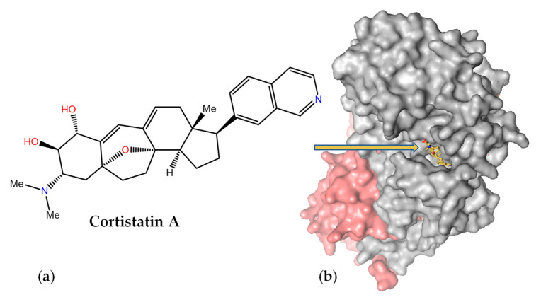 Figure 10