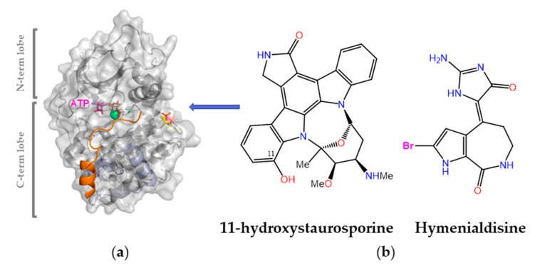 Figure 9