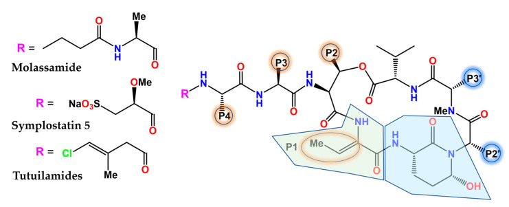 Figure 7