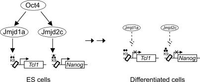 Figure 7.