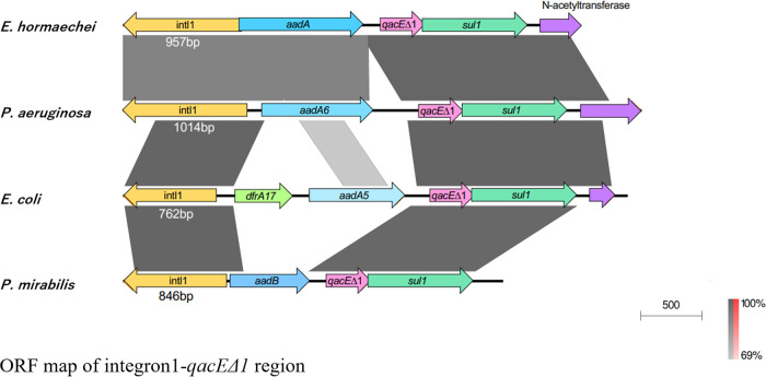 FIG 2