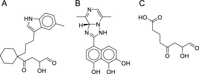 Fig. 3
