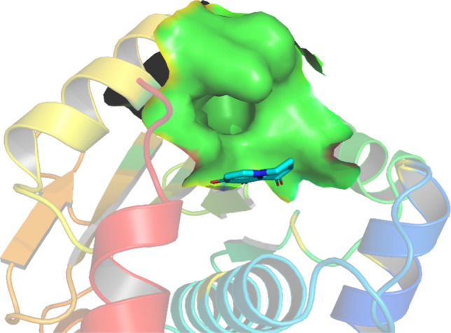 Fig. 6