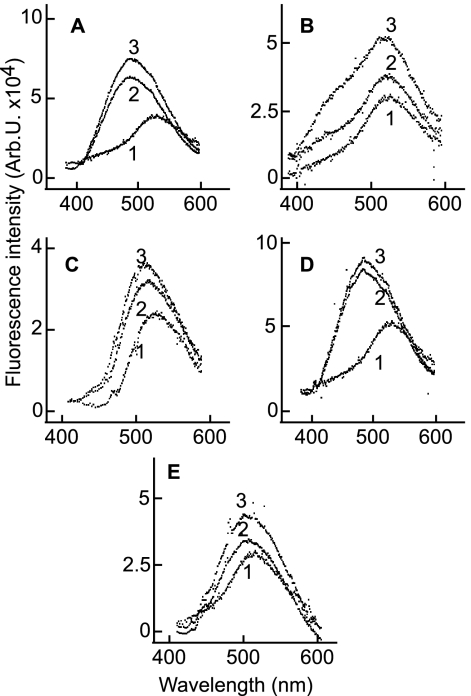 Fig. 8.