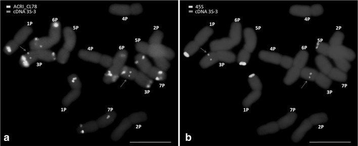 Fig. 3